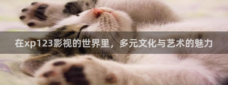 老湿的影院：在xp123影视的世界里，多元文化与艺术的魅力