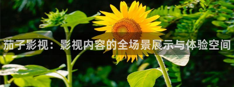 老湿影院.：茄子影视：影视内容的全场景展示与体验空间