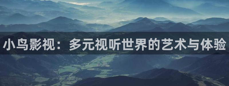 老湿影院妹妹要：小鸟影视：多元视听世界的艺术与体验