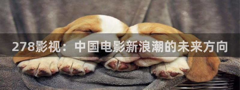 午夜老湿电影：278影视：中国电影新浪潮的未来方向