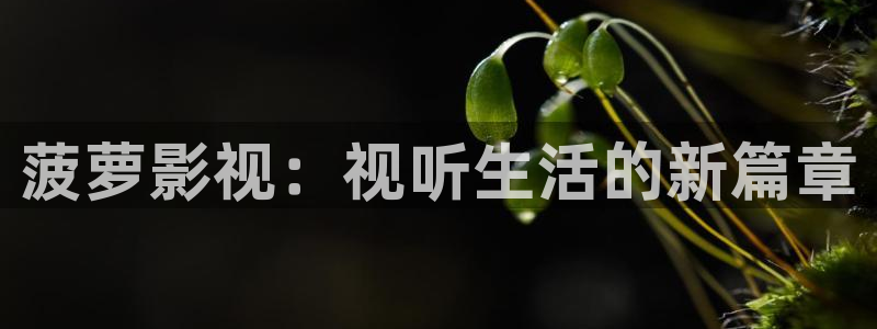.老湿影院：菠萝影视：视听生活的新篇章