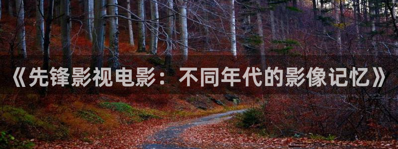 老湿影院视频：《先锋影视电影：不同年代的影像记忆》
