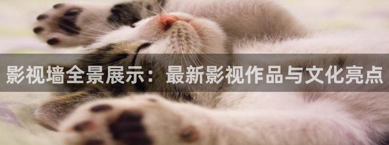 老湿影院十分钟体验区：影视墙全景展示：最新影视作品与文化亮点