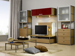 现代钢木电视柜组合 型号规格解析与市场价格指南