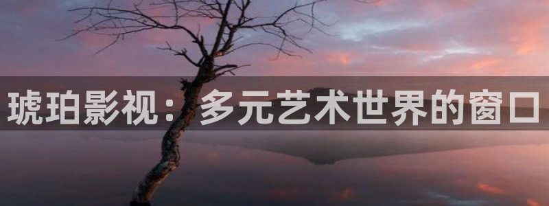 老湿的影院：琥珀影视：多元艺术世界的窗口